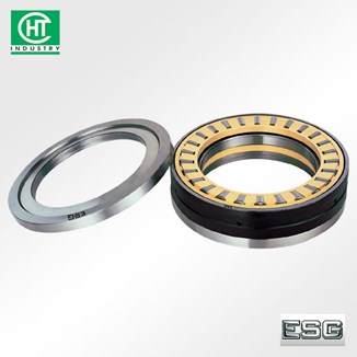 VÒNG BI 829244 - ESG