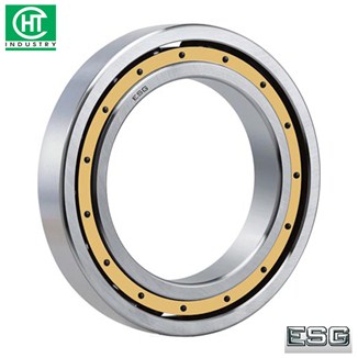 VÒNG BI 6940M - ESG