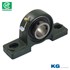 VÒNG BI UCP 208